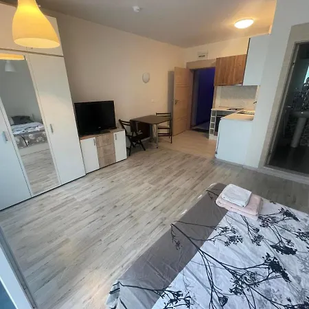 Central Oneroom Apartment